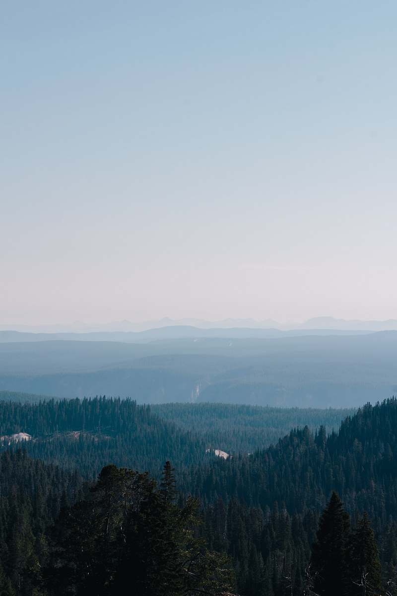 united states aerial view of green leafed trees yellowstone national park